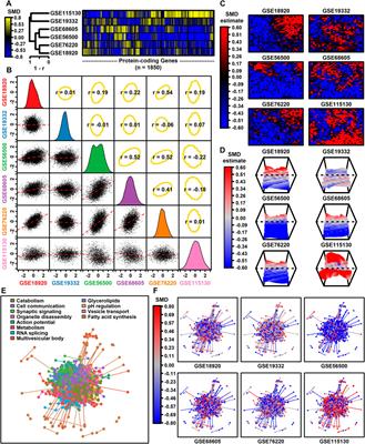 Meta-analysis of differential gene expression in lower motor neurons isolated by laser capture microdissection from post-mortem ALS spinal cords